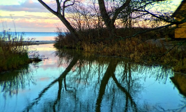 Moesgård Strand 2016 © AArhusPilot.com | Kirsten K. Kester