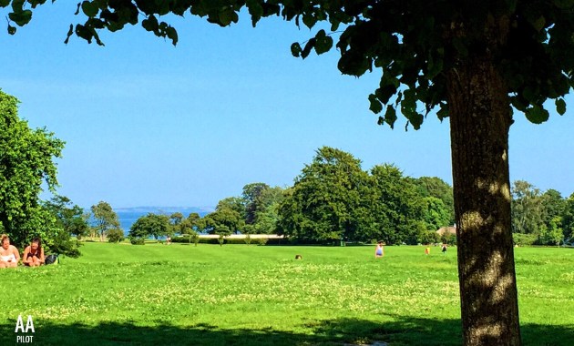 View from Mindeparken © AarhusPilot | Kirsten K. Kester