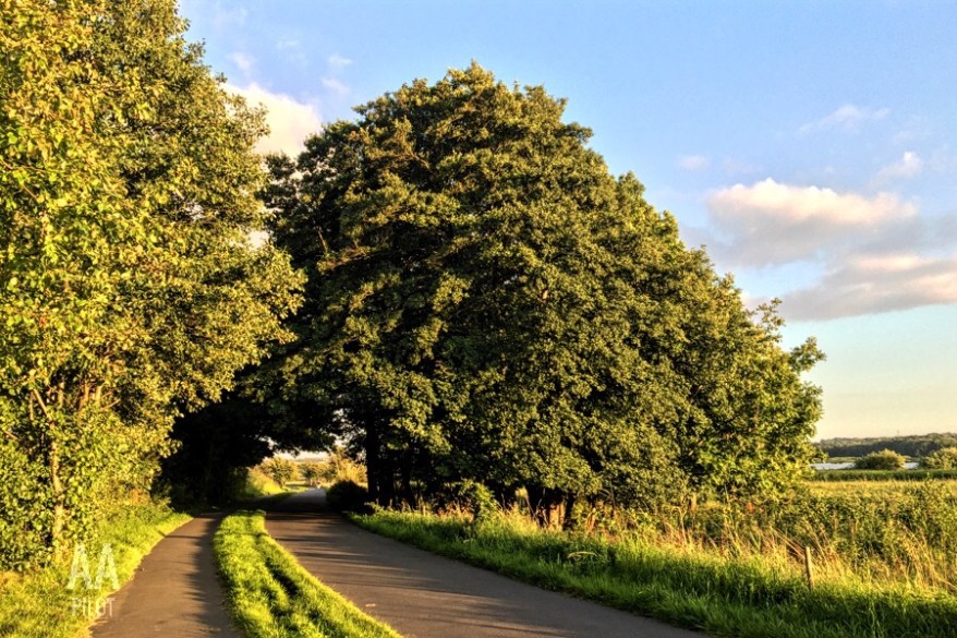 Brabrandstien © AArhusPilot.com | Kirsten K. Kester