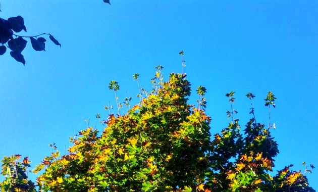 Frederiksbjerg Bypark © AArhusPilot.com | Kirsten K. Kester