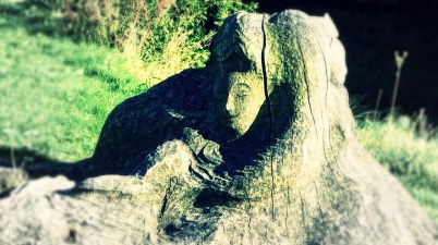 The woman in the tree © AArhusPilot.com | Kirsten K. Kester