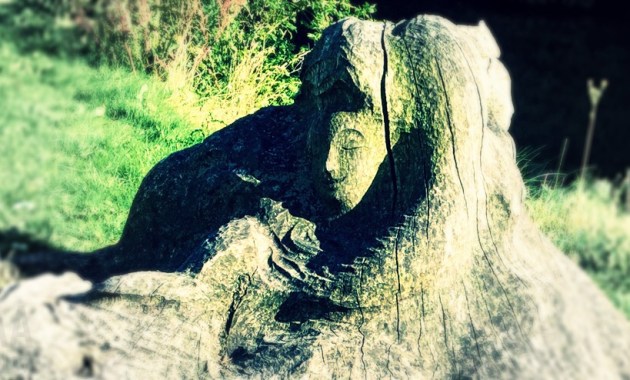 The woman in the tree © AArhusPilot.com | Kirsten K. Kester