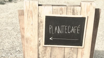 Plantecaféen © AArhusPilot.com | Kirsten K. Kester