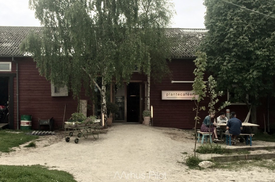Plantecafén © AArhusPilot.com | Kirsten K. Kester