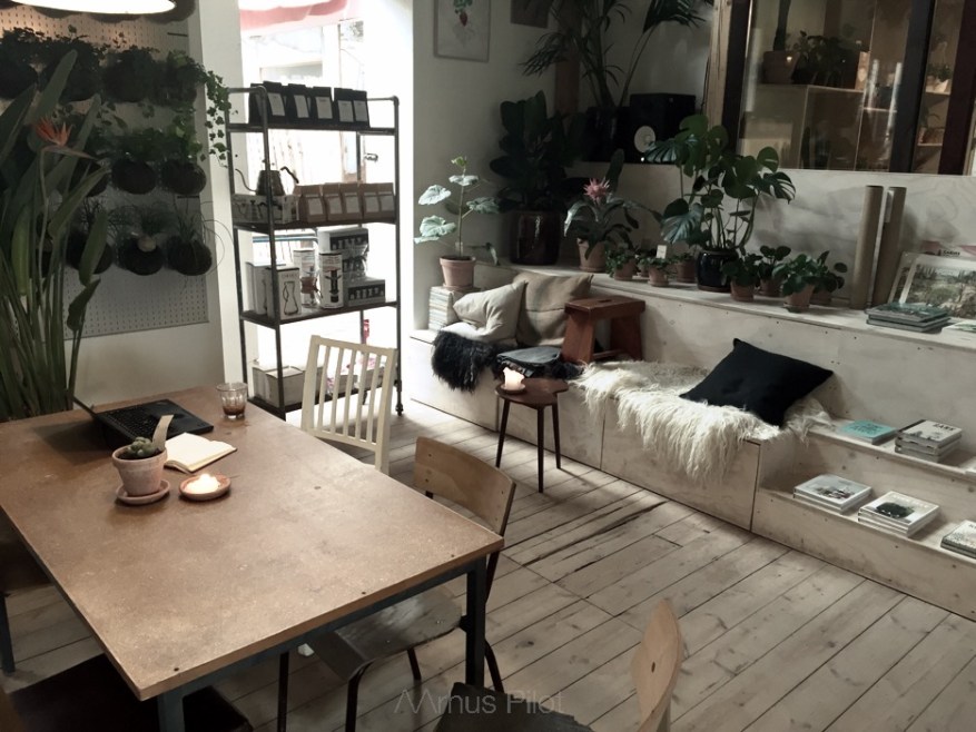 Plantecaféen © AArhusPilot.com | Kirsten K. Kester